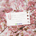 Spring: New Beginnings and Behavior Change