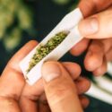 The Gap Between Adolescents’ Perceived and Actual Risk of Cannabis Use